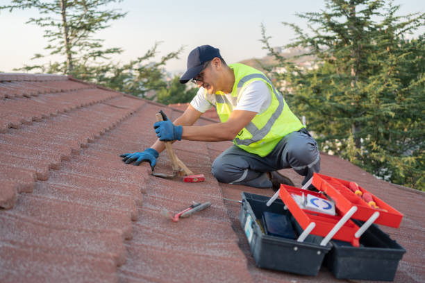 Best Residential Roofing Contractor  in Tryon, NC